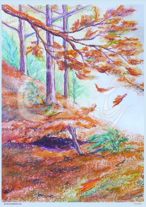 Bosc a la tardor (paper)