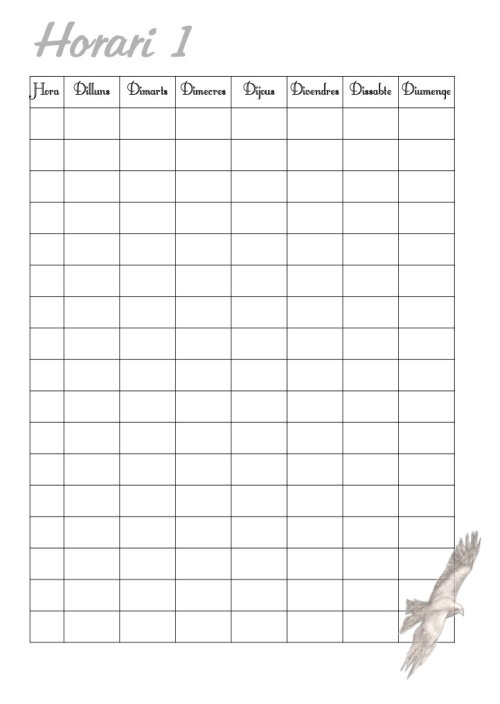 Planner - Eagle perpetual