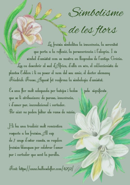 Agenda perpètua Freèsies (DISPONIBLE a AMAZON)