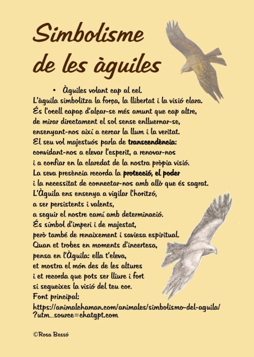 Agenda perpètua Àguiles (DISPONIBLE a AMAZON)