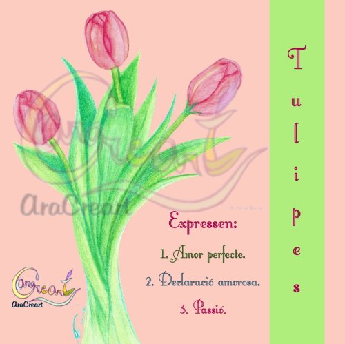 Tulipes d'amor per Sant Valentí (català)(digital) 
