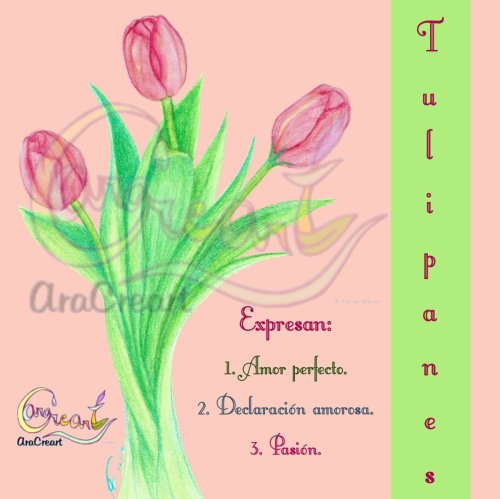 Tulipanes de amor para San Valentín (español)(digital)  