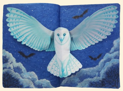 Targeta desplegable 3D Òliba /Tarjeta 3D Lechuza /Owl Pop-up Card