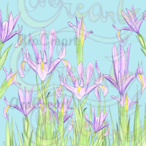 Estampats de lliris / Estampados de lirios / Lily floral patterns (Digital)