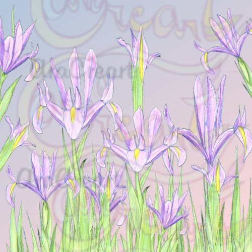 Estampats de lliris / Estampados de lirios / Lily floral patterns (Digital)