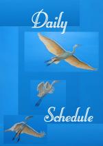 Egretts. Perpetual daily schedule