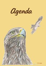 Agenda perpètua Àguiles (DISPONIBLE a AMAZON)