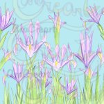 Estampats de lliris / Estampados de lirios / Lily floral patterns (Digital)