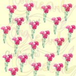 Estampats de clavells / Estampados de claveles / Carnation floral patterns (Digital)